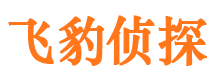 阜阳市调查公司